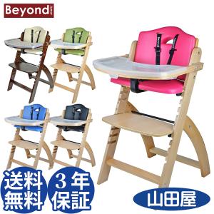 ハイチェア ビヨンドジュニア フル装備 5点式ハーネス 防水クッション トレイ＆トレイカバー EZ-SEAT ウェステックジャパン