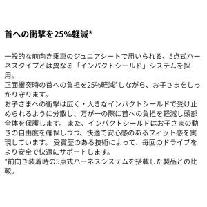 サイベックス パラス pallas G3 プラ...の詳細画像3