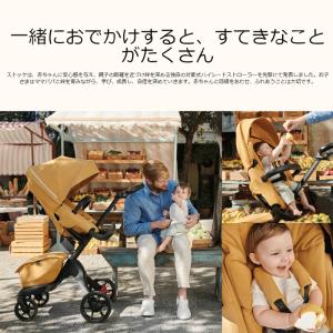 ストッケ エクスプローリー X ストッケ ベビ...の詳細画像1