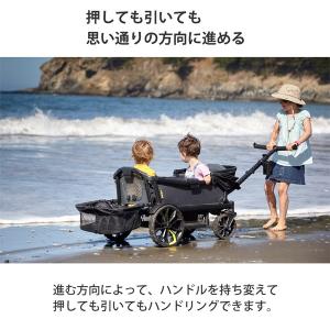 キャリーカート キャリーワゴン ヴィア クルー...の詳細画像5
