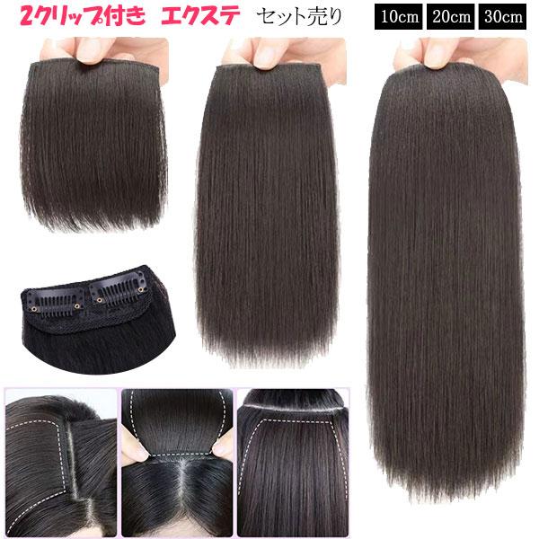 エクステ ショート ストレート 2本セット エクステンション 耐熱 襟足ウィッグ ヘアピース えりあ...