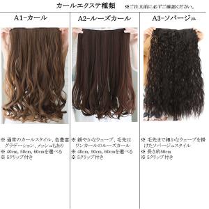 エクステ ウィッグ ロングカール 5クリップ付...の詳細画像1
