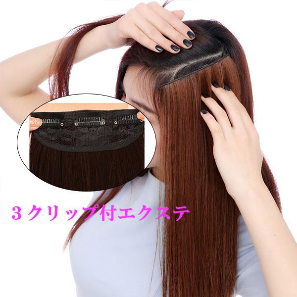 エクステ ストレート 3クリップ ウィッグ ワンタッチ 耐熱ウィッグ えりあし エクステンション 付...
