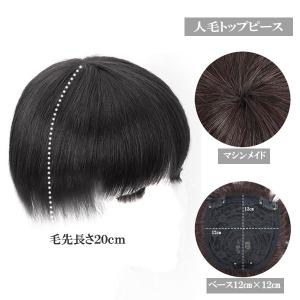 人毛 トップピース マシンメイド ストレート 20cm ヘアピース トップカバー つむじ メッシュベース 部分ウィッグ 増毛部分かつら つけ毛 WIG MGH 01220｜bbdirect