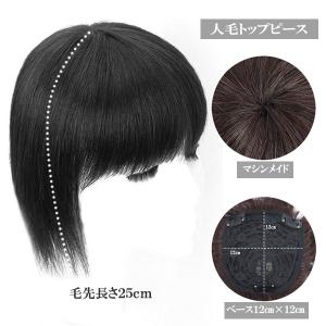 人毛 トップピース マシンメイド ストレート 25cm ヘアピース トップカバー つむじ メッシュベース 部分ウィッグ 増毛部分かつら つけ毛 WIG MGH 01225