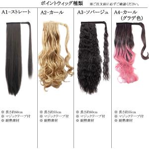 ポニーテール マジックテープ ウィッグ ポイン...の詳細画像1