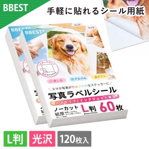 BBEST 写真ラベルシール 光沢タイプ インクジェット専用 ノーカット L判 120枚 KS-L-120