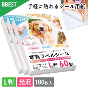 BBEST 写真ラベルシール 光沢タイプ インクジェット専用 ノーカット L判 180枚 KS-L-180