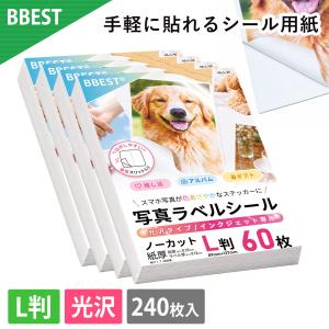 BBEST 写真ラベルシール 光沢タイプ インクジェット専用 ノーカット L判 240枚 KS-L-240