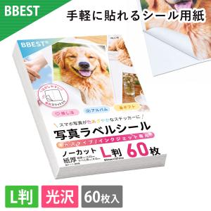 BBEST 写真ラベルシール 光沢タイプ インクジェット専用 ノーカット L判 60枚 KS-L-60