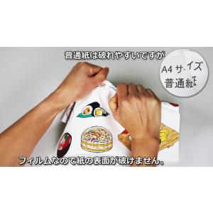 ラベルシール 透明フィルム A4 10枚入り ...の詳細画像5