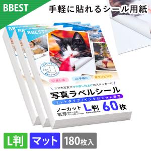 BBEST 写真ラベルシール マットタイプ インクジェット専用 L判 180枚 MS-L-180