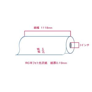 RCフォト半光沢紙 1118mm × 30M ...の詳細画像2