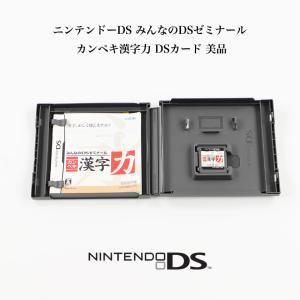 ニンテンドーDS みんなのDSゼミナール カンペキ漢字力 DSカード 美品｜bbl-store