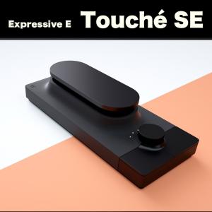 Touch〓 SE （トゥシェSE） | Expressive E | “スキン”が微細な振動や圧力を捉え、様々なジェスチャーでサウンドを操るTOUCHE　　国内正規品　送料無料
