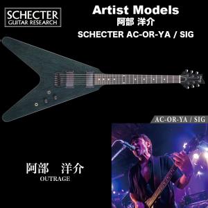 SCHECTER シェクター SCHECTER / DAMIEN PLATINUM-7 ダミアン プラチナ