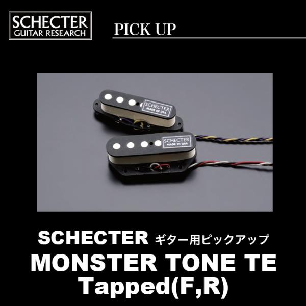 SCHECTER MONSTER TONE TE / Tapped(F,R) シェクター ギター用 ...