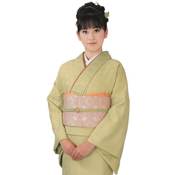 【R.K 慶事のきもの 3点セット】（着物・袋帯・長襦袢）色無地 地模様（7 猫柳）洗える レディー...