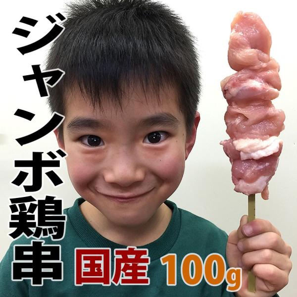 焼き鳥 国産 鶏串 冷凍 1本 100g (焼鳥 やきとり ヤキトリ 焼き肉 焼き肉）