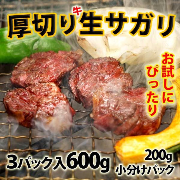 （BBQ バーべキュー）焼き肉 牛肉 厚切り生サガリ 600g(200g×3) 冷蔵 焼き肉