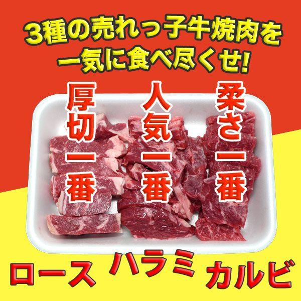 焼き肉セット カルビ・ハラミ・上ロース 牛肉 600g(200g×3) 自家製タレ付属 （BBQ バ...