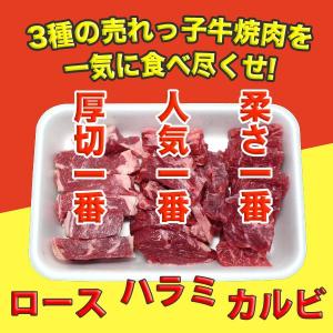 焼き肉セット カルビ・ハラミ・上ロース 牛肉 1.2kg(400g×3) 自家製タレ付属 （BBQ バーべキュー）焼肉｜bbq
