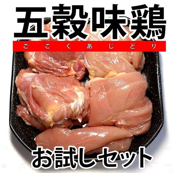 鶏肉 塊肉 鶏もも肉2枚 鶏むね肉2枚 ササミ2本 五穀味鶏 お試し セット 冷凍 真空パック（ブロ...