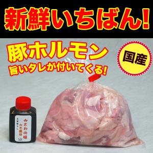 焼き肉 国産 豚肉 ホルモン(ミックス) 500g 自家製みそダレ付属