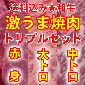 焼き肉セット （BBQ バーべキュー）焼肉 牛肉 黒毛和牛 大トロ+中トロ+赤身 900g 冷凍 自家製タレ付属 （BBQ バーべキュー）焼肉｜bbq