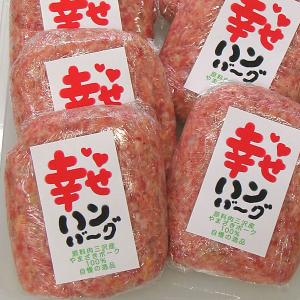 幸せハンバーグ 冷凍 1個 豚肉(やまざきポーク青森県産)
