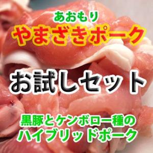 豚肉セット 国産 (やまざきポーク青森県産) （お試し 食べ比べ） 3980 冷凍