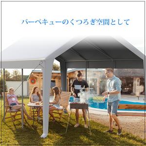 DEXSO カーポート 3×6.1×3.3m ...の詳細画像3