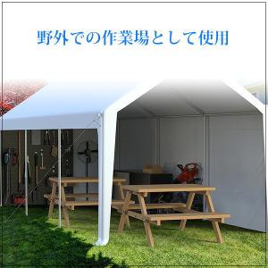 DEXSO カーポート 3×6.1×3.3m ...の詳細画像4