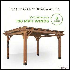 /お取り寄せ/バックヤード ディスカバリー パ...の詳細画像3
