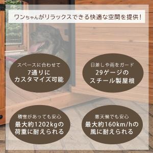 /お取り寄せ/バックヤード ディスカバリー ワ...の詳細画像2