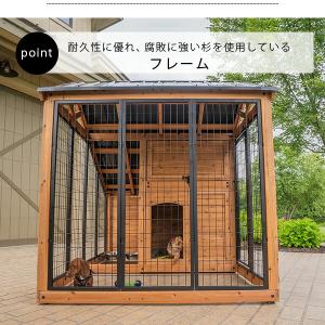 /お取り寄せ/バックヤード ディスカバリー ワ...の詳細画像3