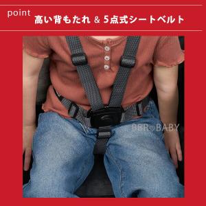 ラジオフライヤー パスファインダー ストローラ...の詳細画像5