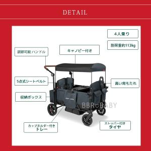 ラジオフライヤー パスファインダー+ ストロー...の詳細画像3