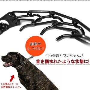 ハームスプレンガー トレーニング スパイクカラ...の詳細画像2