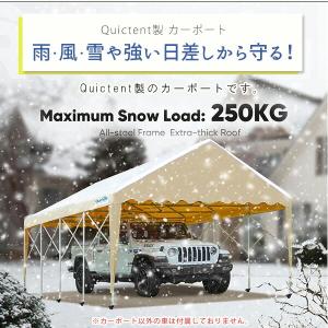 Quictent カーポート 3.9×6.1×...の詳細画像3