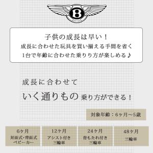 /お取り寄せ/Bentley 限定バージョン ...の詳細画像3