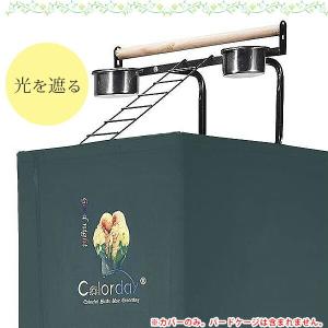 /お取り寄せ/Colorday グッドナイト ...の詳細画像3