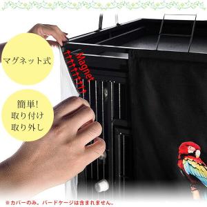 /お取り寄せ/Colorday グッドナイト ...の詳細画像4