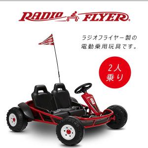 /お取り寄せ/ラジオフライヤー アルティメット...の詳細画像1