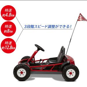 /お取り寄せ/ラジオフライヤー アルティメット...の詳細画像3