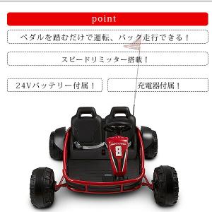 /お取り寄せ/ラジオフライヤー アルティメット...の詳細画像4