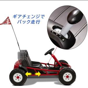 /お取り寄せ/ラジオフライヤー アルティメット...の詳細画像5