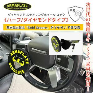 /お取り寄せ/Armaplate Resolut...の商品画像