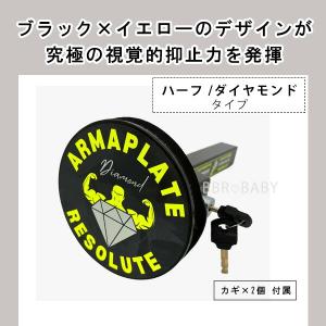 /お取り寄せ/Armaplate Resolu...の詳細画像5