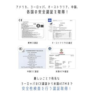 ベビーカー Pompolarr ポンポラー N...の詳細画像2
